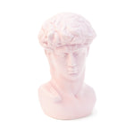 Michelangelo's David Bust Statue | Angel Pink