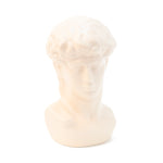 Michelangelo's David Bust Statue | White