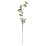 Faux Cow Parsley Ammi | Green | 100cm