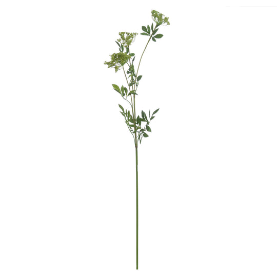 Faux Cow Parsley Ammi | Green | 100cm