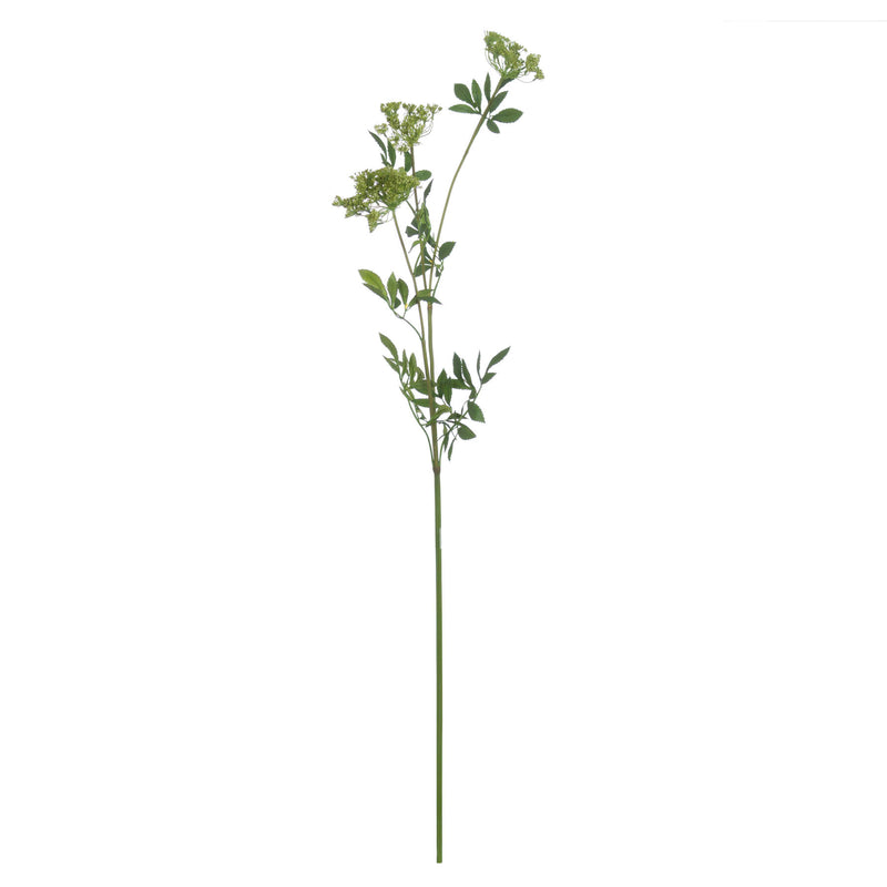 Faux Cow Parsley Ammi | Green | 100cm