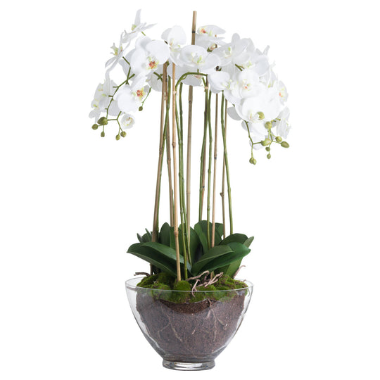Faux Orchid in Glass Pot | White | 88cm
