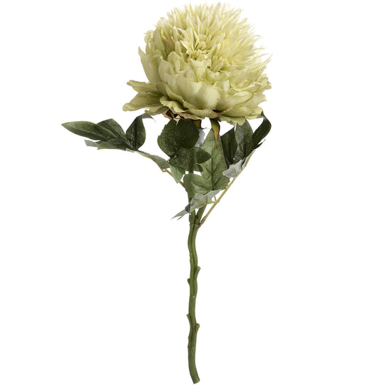 Faux Peony Stem | Green | 43cm