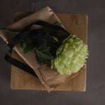 Faux Peony Stem | Green | 43cm