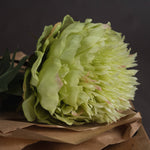 Faux Peony Stem | Green | 43cm