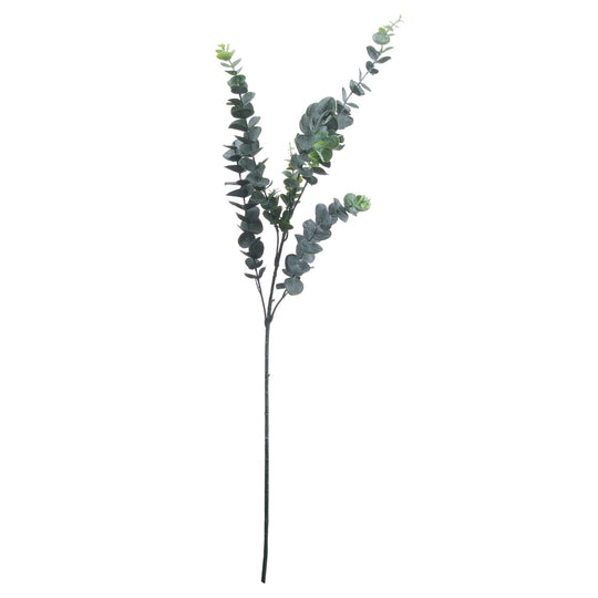 Faux Silver Dollar Eucalyptus Stem