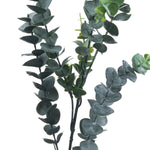 Faux Silver Dollar Eucalyptus Stem