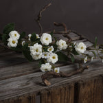 Faux Wild Meadow Rose Spray | White | 74cm