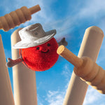 Amuseable Sports Cricket Ball