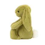 Bashful Moss Bunny Soft Toy | Little