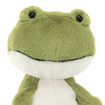 Finnegan Frog Soft Toy
