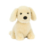 Golden Puppy