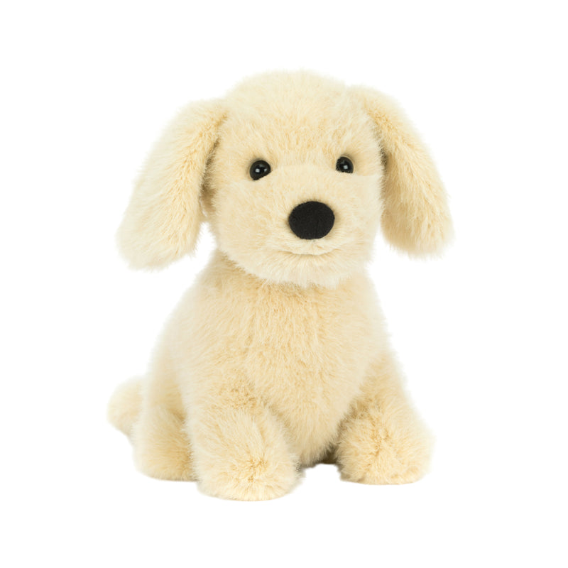 Golden Puppy