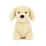 Golden Puppy