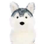 Jackson Husky Soft Toy