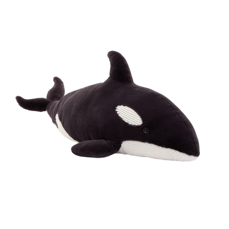 Ollivander the Orca