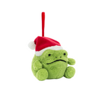 Ricky Rain Frog Hanging Decoration