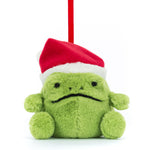 Ricky Rain Frog Hanging Decoration