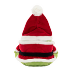 Santa Ricky Rain Frog