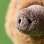 Swinley Boar Soft Toy