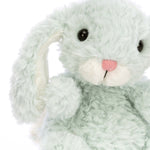 Yummy Bunny Soft Toy | Mint