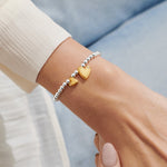 Boxed A Little 'Forever Family' Bracelet | Silver & Gold Plated