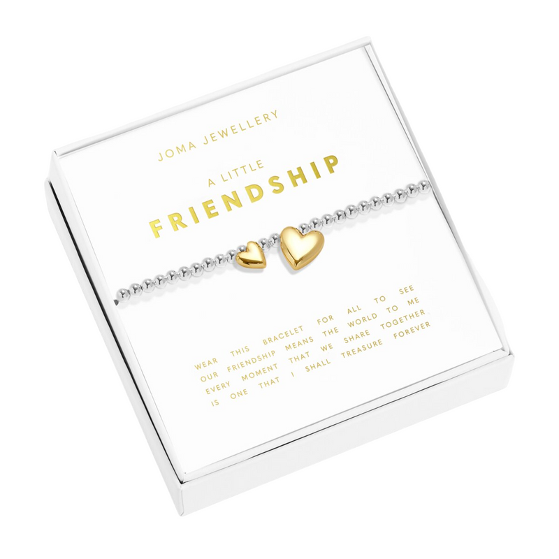 Boxed A Little 'Friendship' Bracelet | Silver & Gold Plated