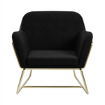 Charles Velvet Armchair | Black/Brushed Gold