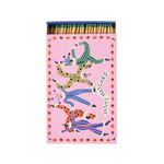 Large Boxed Matches | Jesters | Set of 120