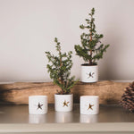 Star Tealight Holders | Set of 2 | 4.5cm