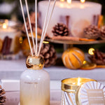 Festive Wishes Reed Diffuser | Orange, Cinnamon & Clove | 120ml