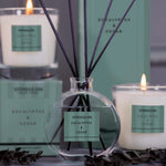 Modern Classics Reed Diffuser | Eucalyptus & Cedar | 120ml