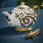 Teapot | Creatures of Curiosity