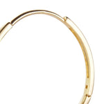 Hoop Earrings | Renee | Sterling Silver & Gold Plated