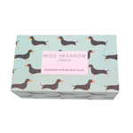 Sausage Dog Socks | Box Set