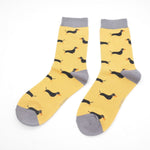 Sausage Dog Socks | Box Set