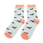 Sausage Dog Socks | Box Set