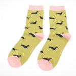 Sausage Dog Socks | Box Set