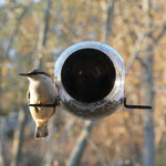 Window Bird Feeder