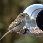 Window Bird Feeder