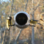 Window Bird Feeder