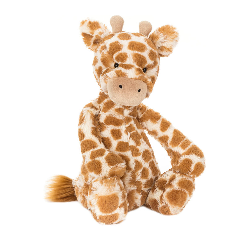 Bashful Giraffe | Medium