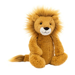 Bashful Lion | Medium