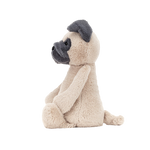 Bashful Pug | Medium