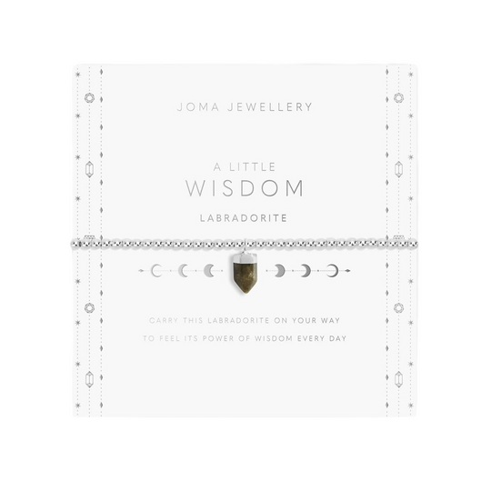 A Little 'Wisdom' Affirmation Crystal Bracelet | Silver Plated with Labradorite