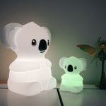 Koala Night Light | Extra Large