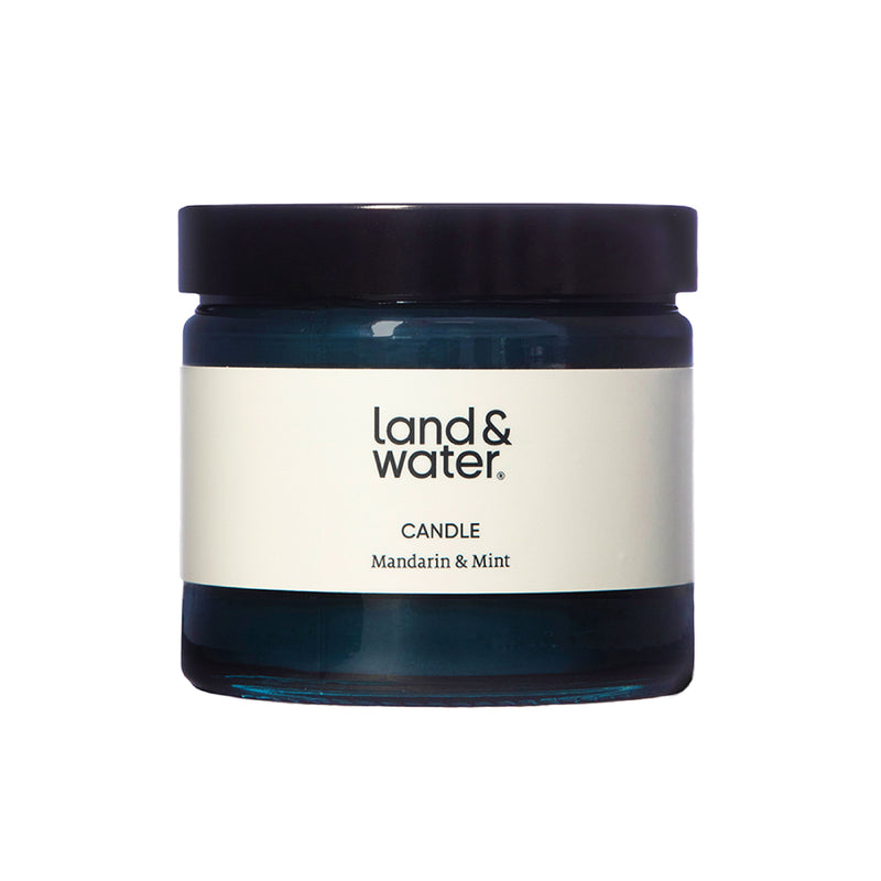 Mandarin & Mint Candle | 220g