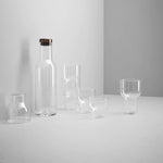 Bottle Carafe | Steel