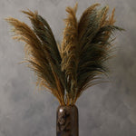 Fiori Pampas Grass | Blue Stem