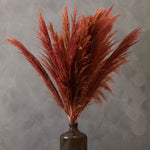 Fiori Pampas Grass | Pink Stem